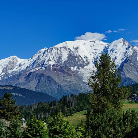 Alpehytte Des Sommets